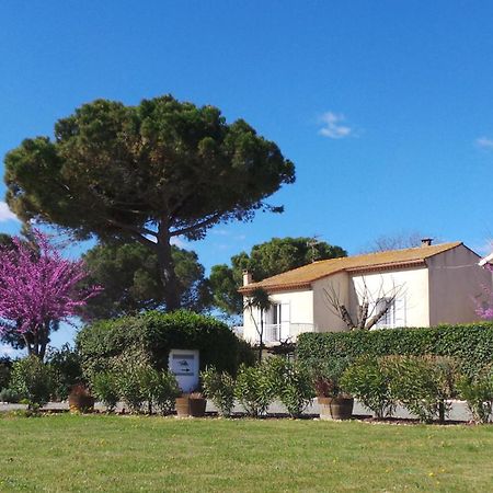 A L'Oree Des Vignes Montady Bagian luar foto