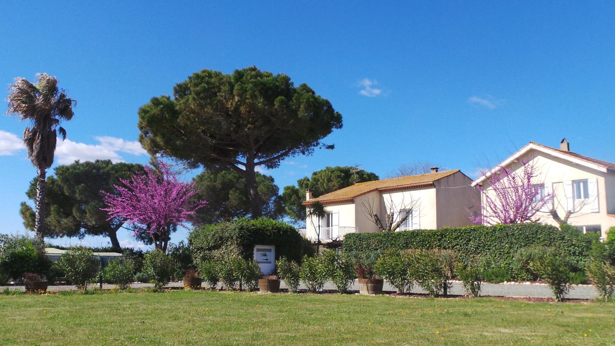 A L'Oree Des Vignes Montady Bagian luar foto