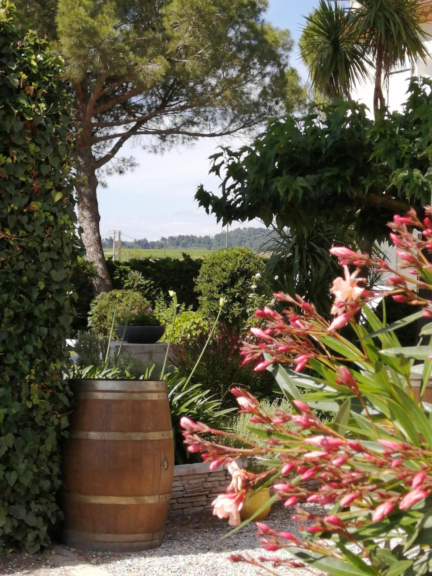 A L'Oree Des Vignes Montady Bagian luar foto