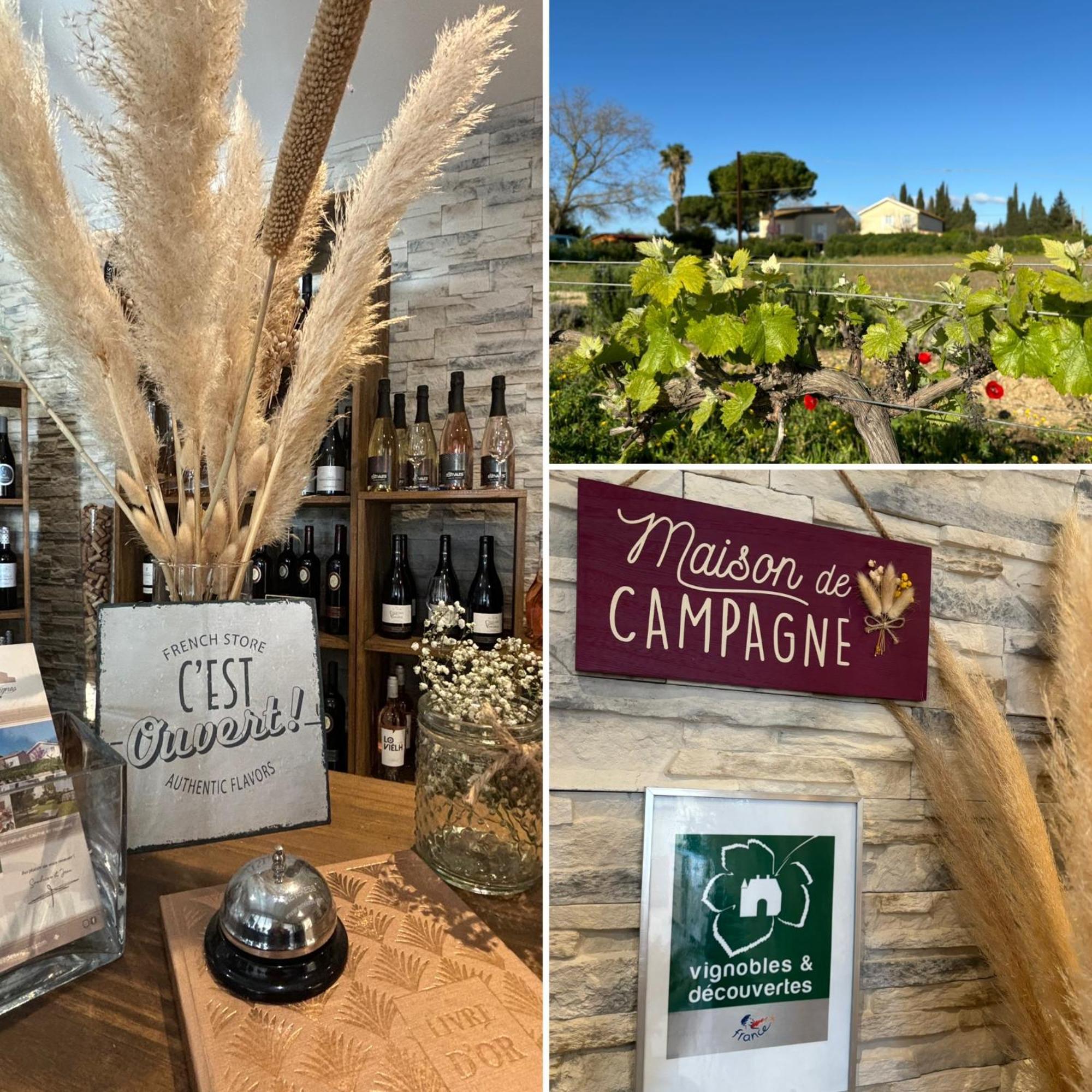 A L'Oree Des Vignes Montady Bagian luar foto